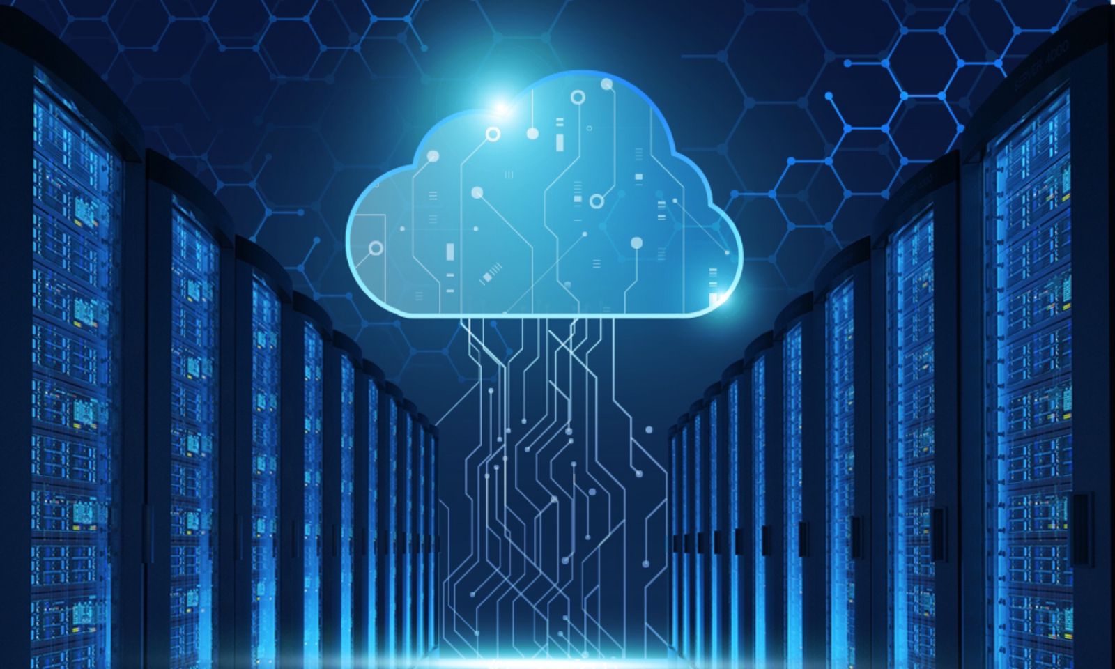 Colocation vs Cloud: Which One is Better for Businesses?